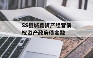 SS县城鑫资产经营债权资产政府债定融