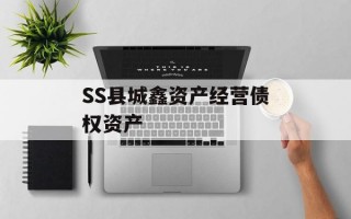 SS县城鑫资产经营债权资产
