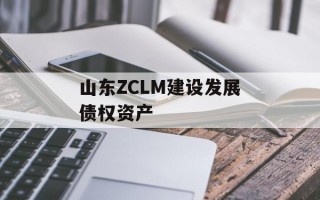 山东ZCLM建设发展债权资产