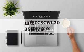 山东ZCSCWL2025债权资产