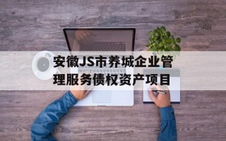 安徽JS市养城企业管理服务债权资产项目