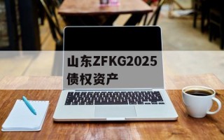 山东ZFKG2025债权资产