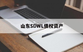 山东SDWL债权资产