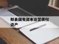 郏县国有资本运营债权资产