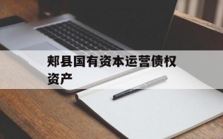 郏县国有资本运营债权资产