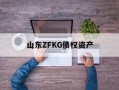 山东ZFKG债权资产