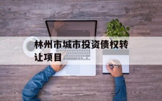 林州市城市投资债权转让项目