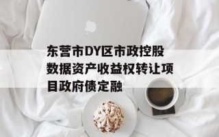 东营市DY区市政控股数据资产收益权转让项目政府债定融