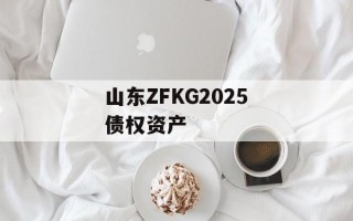 山东ZFKG2025债权资产