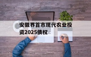安徽界首市现代农业投资2025债权