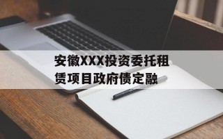 安徽XXX投资委托租赁项目政府债定融