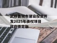 武陟县城市建设投资开发2025年债权项目政府债定融