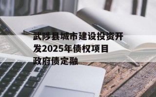 武陟县城市建设投资开发2025年债权项目政府债定融