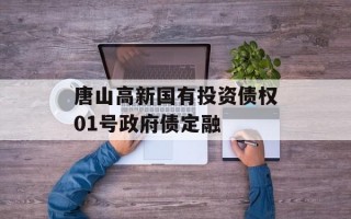 唐山高新国有投资债权01号政府债定融