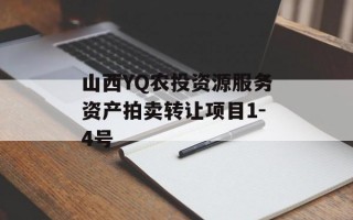 山西YQ农投资源服务资产拍卖转让项目1-4号