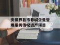 安徽界首市养城企业管理服务债权资产项目