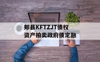 郏县KFTZJT债权资产拍卖政府债定融