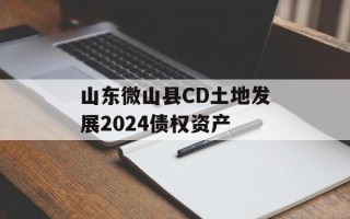山东微山县CD土地发展2024债权资产