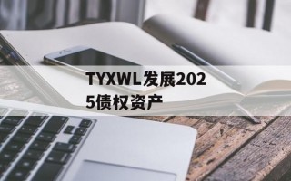 TYXWL发展2025债权资产