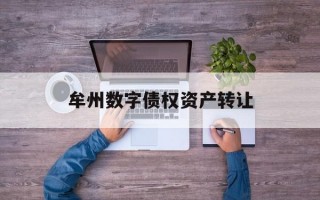 牟州数字债权资产转让