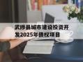 武陟县城市建设投资开发2025年债权项目