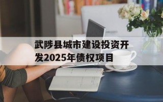 武陟县城市建设投资开发2025年债权项目