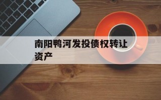 南阳鸭河发投债权转让资产