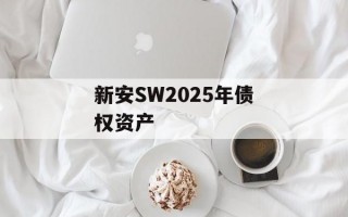 新安SW2025年债权资产