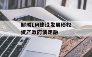 邹城LM建设发展债权资产政府债定融