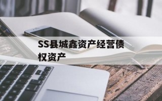 SS县城鑫资产经营债权资产