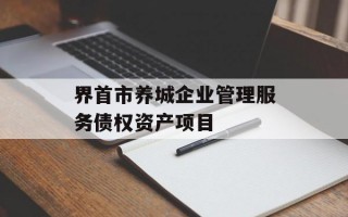 界首市养城企业管理服务债权资产项目