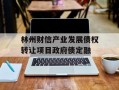 林州财信产业发展债权转让项目政府债定融