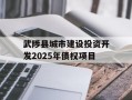 武陟县城市建设投资开发2025年债权项目