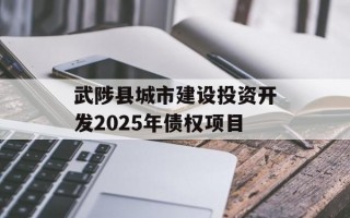 武陟县城市建设投资开发2025年债权项目