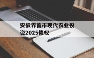 安徽界首市现代农业投资2025债权