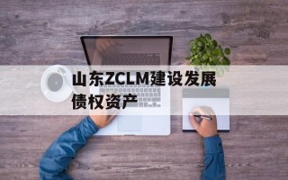 山东ZCLM建设发展债权资产