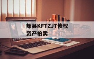 郏县KFTZJT债权资产拍卖