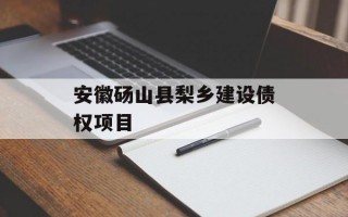 安徽砀山县梨乡建设债权项目