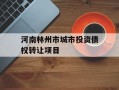 河南林州市城市投资债权转让项目