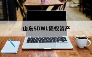 山东SDWL债权资产