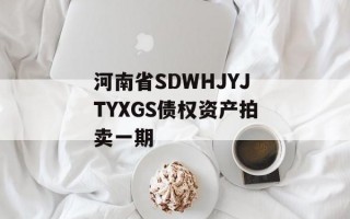 河南省SDWHJYJTYXGS债权资产拍卖一期