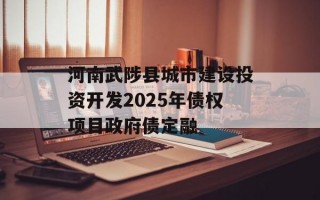 河南武陟县城市建设投资开发2025年债权项目政府债定融