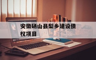 安徽砀山县梨乡建设债权项目