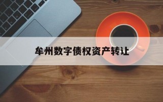 牟州数字债权资产转让