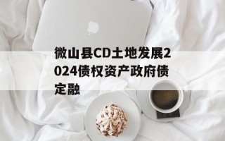 微山县CD土地发展2024债权资产政府债定融
