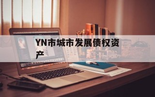 YN市城市发展债权资产
