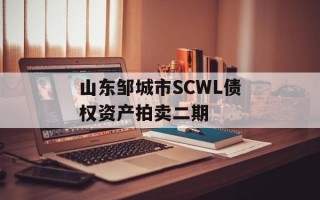 山东邹城市SCWL债权资产拍卖二期