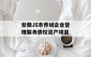 安徽JS市养城企业管理服务债权资产项目