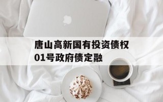 唐山高新国有投资债权01号政府债定融