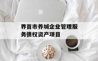 界首市养城企业管理服务债权资产项目